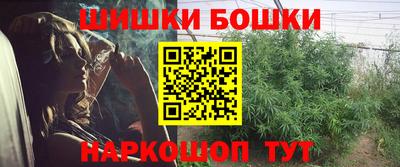 шишки Лесосибирск