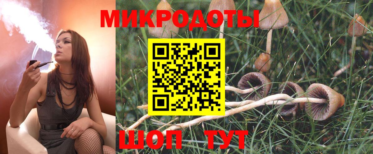 Псилоцибиновые грибы MAGIC MUSHROOMS Зима