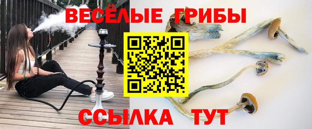 Галлюциногенные грибы мицелий  Вход с VPN  Псилоцибиновые грибы прущие грибы  Зима 